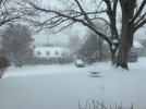 IMG_4456.jpeg IMG_4456.jpeg