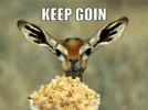 1769370762788.gif