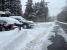 snow-ny.jpg snow-ny.jpg