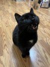 IMG_1014.jpeg