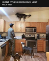 1769907357102.png