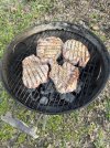IMG_6339.jpeg IMG_6339.jpeg