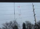 IMG_6179.jpeg
