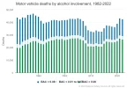 motor-vehicle-deaths.webp
