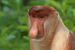1770142643186.png