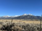 IMG_8290.jpeg