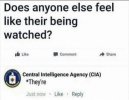 IMG_1807.jpeg