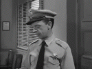 barney.gif