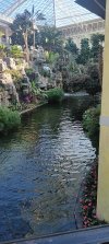 20260213_081159.jpg