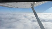 IMG_6135.jpeg