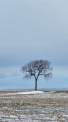 20260223_133247.jpg