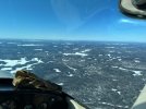 IMG_6161.jpeg