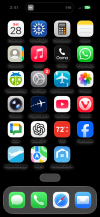 IMG_4166.png