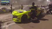 IMG_3329.gif
