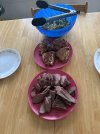 IMG_6354.jpeg