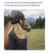 1772815773013.png