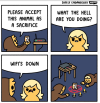 1772822885093.png