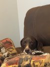 IMG_3401.jpeg IMG_3401.jpeg