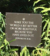 1774826067816.png