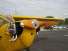 IMG_8961.jpeg