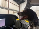 IMG_3501.jpeg IMG_3501.jpeg