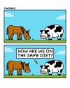 FB_IMG_1775922090879.jpg