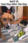 1776368660778.png 1776368660778.png