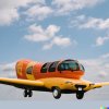 wiener.jpeg wiener.jpeg