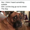 1776884727627.png 1776884727627.png