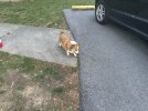 IMG_1368.jpeg