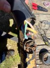 IMG_1987.jpeg IMG_1987.jpeg
