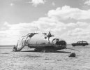rogers M2 F2.jpg