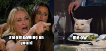 1779190369732.png