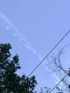 IMG_8765.jpeg IMG_8765.jpeg
