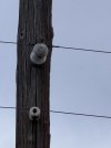IMG_5263.jpeg