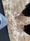 IMG_4015.jpeg