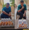 eggckers.jpg