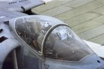 IMG_1246.jpeg