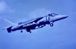 IMG_1244.jpeg