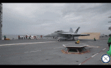 gallery-1501512508-emals-ww.gif