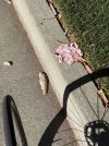 IMG_6402.jpeg IMG_6402.jpeg