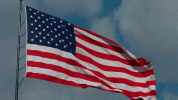 1781475398065.gif