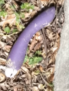 1781531993212.png 1781531993212.png