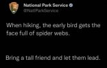 1781629149283.jpeg