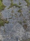 IMG_0016.jpeg
