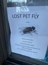 1783080714766.jpeg