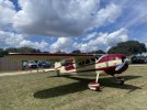 IMG_7480.jpeg