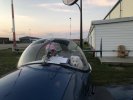 IMG_4065.jpeg