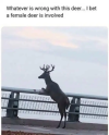 1783375636274.png