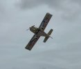 IMG_1805.JPEG
